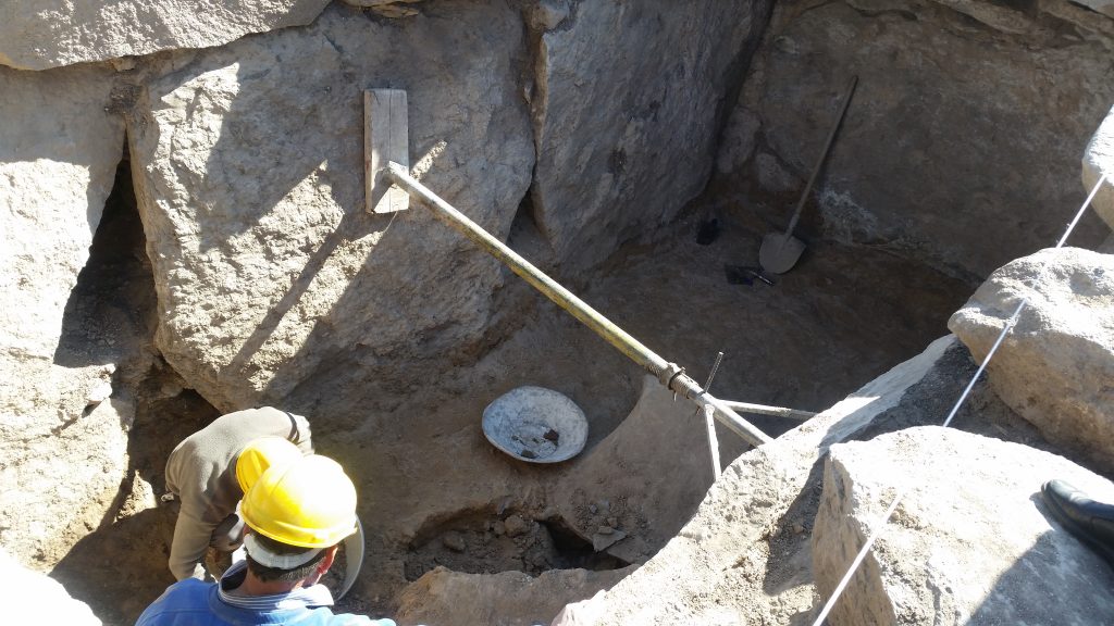 کشف گورکان هزاره دوم قبل از میلاد با باستان‌جانورشناسی در اهر
