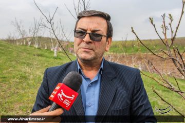 جَهاد کشاورزی مُخالف قَطع درختان جَنگلی در منطقه ارسباران است/ رَصد فعالیت ۶ مرکز خَرید و فروش چوب در اهر