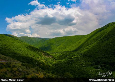 تصویری/ طبیعت زیبای بهاری منطقه ارسباران