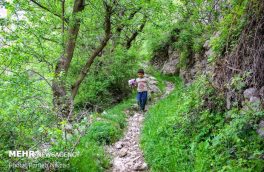 افزایش ۲۰ درصدی ورود گردشگران نسبت به تابستان سال گذشته در کلیبر