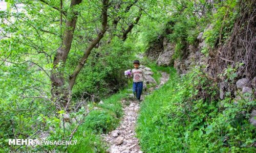 افزایش ۲۰ درصدی ورود گردشگران نسبت به تابستان سال گذشته در کلیبر