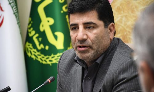 دبیر ستاد هماهنگی امنیت غذایی کشور: مطالبات گندمکاران تا پایان شهریور پرداخت می‌شود