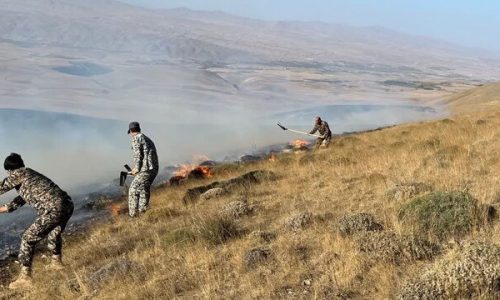 فرماندار اهر: ۲۰۰ هکتار از مزارع و مراتع اهر در آتش‌سوزی از بین رفت