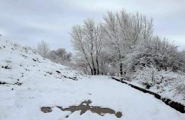 بارش ۲۰ سانتی‌متری نخستین برف پاییزی در آذربایجان شرقی/ تجربه برف پاییزی در شهرهای اهر، ورزقان، کلیبر، خداآفرین و هوراند