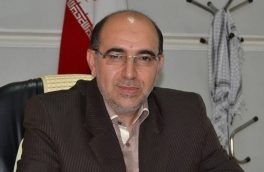 بهنام رضوانی: قول وزیر صمت و رئیس بانک مرکزی برای حل محدودیت ارزی صادرکنندگان/ صادرکننده ها را به مسیرهای خلاف نکشانید