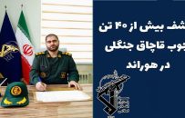 کشف و توقیف بیش از ۴۰ تن چوب جنگلی قاچاق در هوراند