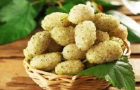دومین جشنواره توت سفید در هوراند برگزار می‌شود