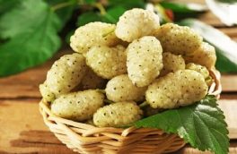 دومین جشنواره توت سفید در هوراند برگزار می‌شود