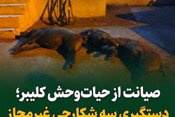 دستگیری سه شکارچی غیرمجاز گراز وحشی در روستای مولان شهرستان کلیبر
