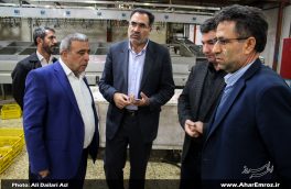 کشتارگاه صنعتی طیور اکبری اهر جزو کشتارگاه‌های بهداشتی آذربایجان شرقی است/ حمایت از طرح توسعه‌ای در کشتارگاه صنعتی اکبری