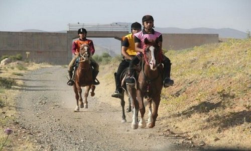 فرماندار اهر: سومین دوره جشنواره ملی شوسواری در اهر برگزار می‌شود