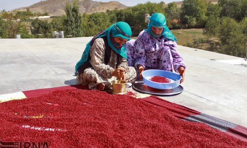 فرماندار هوراند: هفدهمین جشنواره سماق قرمز پس از ۵ سال وقفه در هوراند برگزار می‌شود