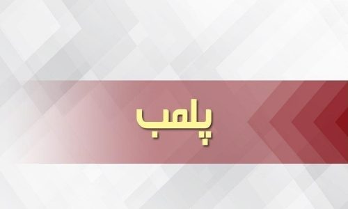پلمب ۱۸ واحد نانوایی در اهر