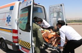واژگونی مینی‌بوس در جاده کلیبر – اهر با ۱۷ مصدوم