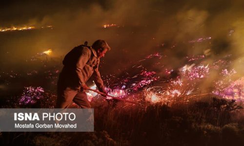 آتش‌سوزی بیش از ۲۵ هکتار از اراضی مرتعی شهرستان اهر