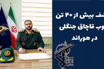 کشف و توقیف بیش از ۴۰ تن چوب جنگلی قاچاق در هوراند