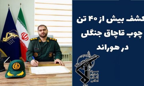 کشف و توقیف بیش از ۴۰ تن چوب جنگلی قاچاق در هوراند