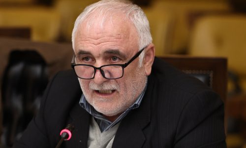 برای ساماندهی بازار خودرو واردات به معنای واقعی آزاد شود/ لزوم خارج کردن شرکت‌های خودروسازی از حالت دولتی