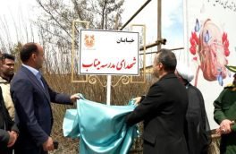 نام‌گذاری خیابانی در شهرک مس ورزقان به نام فرشتگان میناب